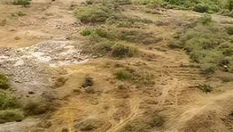 Hyderabad To Develop IT Zones Amid Land Disputes