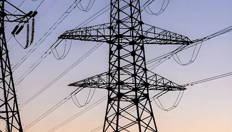 Andhra Pradesh energy minister defends power purchase agreement with Axis at ₹4.60 per unit