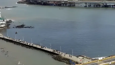 Mumbai Mobility Corridor Connects Coast And Highway