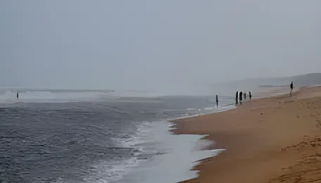 Tata Power’s Rs 100 Billion Gopalpur SEZ Plant Set To Transform Odisha 