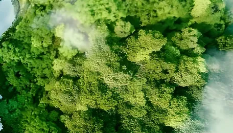 The jet-fuel surge is making global flight connections disappear