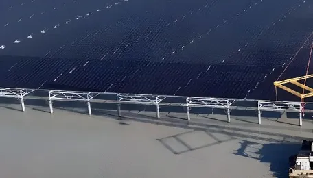 Energy importers like China leading shift to clean energy: report 