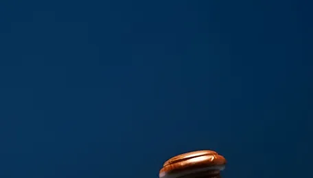 Andhra Pradesh Power Regulator Defers Major Resource Plan Changes of DISCOMs