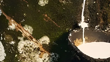 NOCIL Dahej Rubber Chemicals Expansion | News 