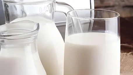 Indore Dairy Inspections Tighten Food Safety Enforcement