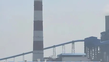 Biomass co-firing shortfall due to supply and technical limits, says thermal power producers