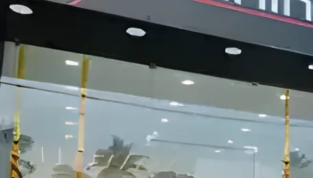 Win Diesel: MandM sells half the cars using the fuel in India now