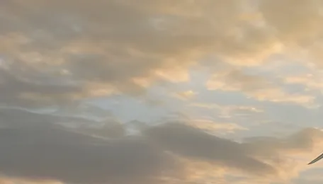 Daily News Wrap-Up: Finance Ministry Allows Insurance Bonds for Power Tenders