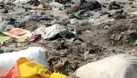 Chennai Waste Management Challenges Persist Across Zones