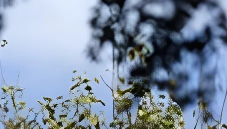 AP clears Vedanta’s onshore drilling plan, balancing energy push with water safeguards 