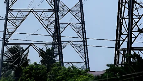 TNEB launches drive to end recurring power outages 