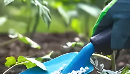 Russia eyes bigger fertiliser play, calls for duty cut