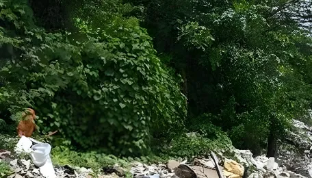 Bengaluru Road Cleaning Push Targets Urban Waste Crisis