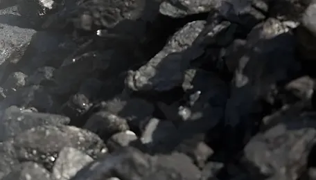 CBIC Notifies Udangudi Port as Customs Station for Coal Imports [Read Notification] 
