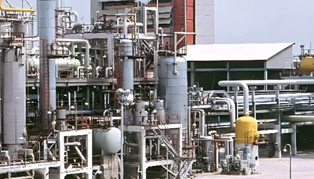 Downstream petrochem strain persists despite swift govt interventions 