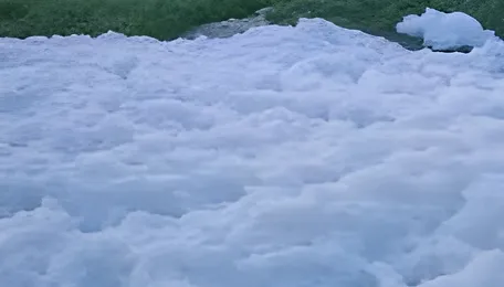 Bengaluru Bio Foam Moves Closer To Commercial Use