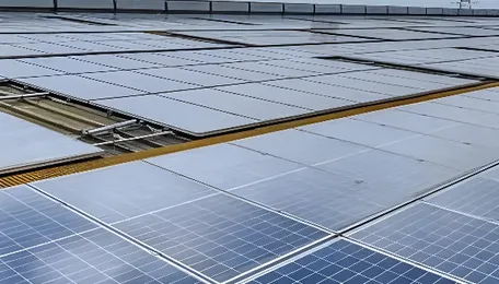 Rooftop solar systems installed on nearly 24 lakh households: Shripad Yesso Naik