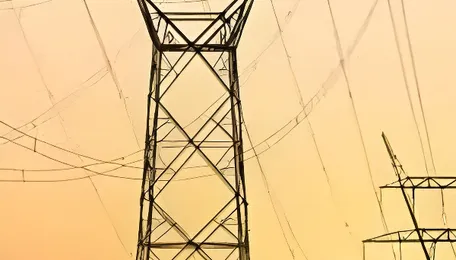 Around 6900 GWh power restricted from evacuation in FY26: Naik 