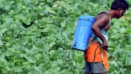 Analysis: As Iran War Eats Into India's Urea Supply, What Are Our Options 