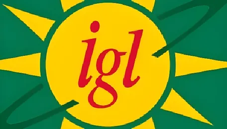 Happy New Year 2026 Gift: IGL Cuts PNG Prices In Delhi-NCR 