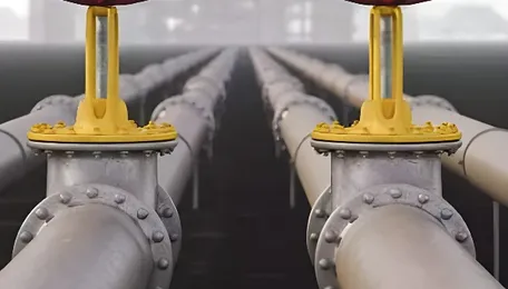 Indraprastha Gas Ltd signs pact for natural gas distribution in Saudi Arabia 