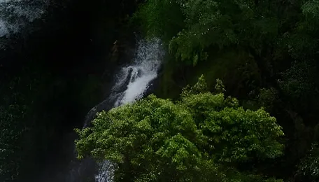 First phase of Bhutan’s 104MW small hydropower projects begins operation 