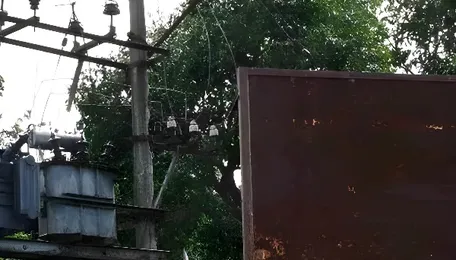 Recurring power cuts disrupt life in Thalavadi Hills villages 