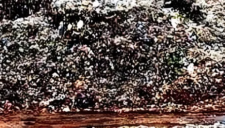 Mumbai Malabar Hill Faces Growing Garbage Crisis