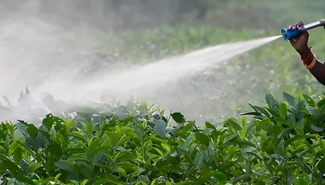 Pesticides Management Bill, 2025: Revised draft but old gaps remain 