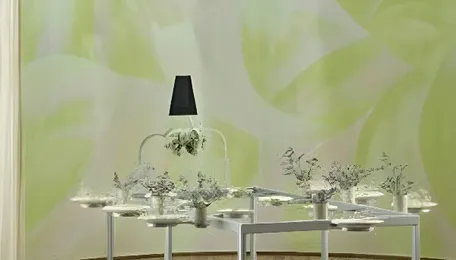 India Paint Additives Market Growth Gains Momentum