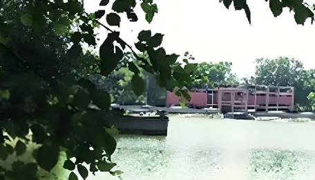 Cabinet green signals redistribution of 253 acres of Bathinda thermal plant 