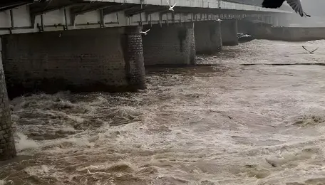 Delhi Yamuna Pollution Surge Raises River Health Alarm