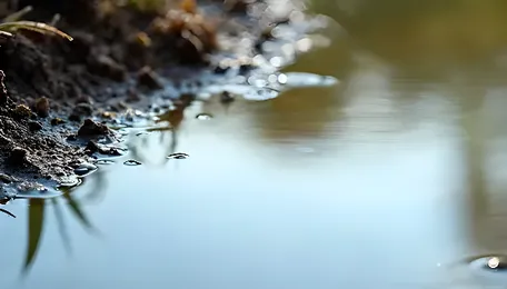 CGWB Reports Safe Groundwater Quality Across Key MP Districts