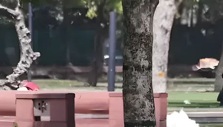 Delhi Heatwave Response Focuses On Oxygen Parks