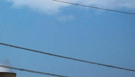 Aiming at Self-Sufficiency, TN to Focus on Green Energy Along With Thermal Power 