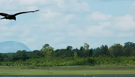 Bengaluru Wildlife Reserve Expansion Boosts Climate Resilience