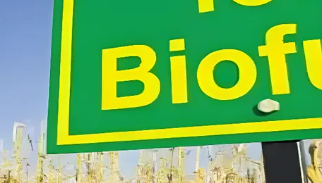 Conflicts push India’s biofuel, low-carbon fertiliser revolution 