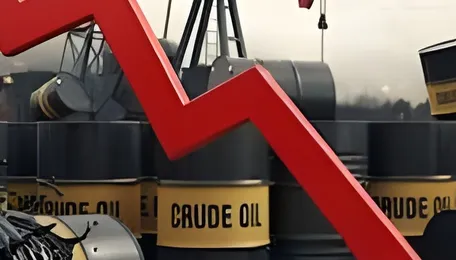 Crude Oil Price Crash: WTI slides over 17% to below $95 after Trump pause on Iran bombings