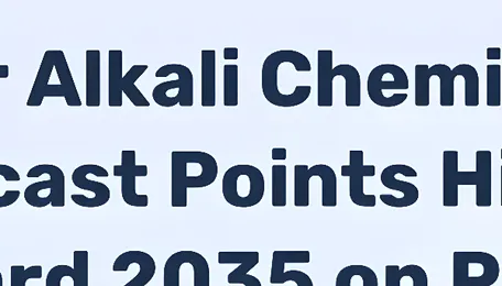 Chlor Alkali Chemicals Market Forecast Points Higher Toward 2035 on PVC Demand and Water Treatment Expansion 
