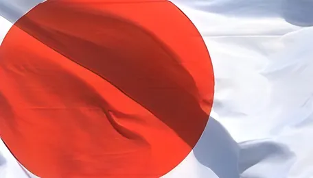 44% of Japanese Companies Face Petrochemical Supply Shortages Amid Iran Conflict 