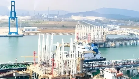 Petrovietnam turns to middleman Vitol Asia for crude oil requirements 