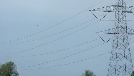 JK records highest transmission and distribution losses in India at 48%, GoI tells Lok Sabha 