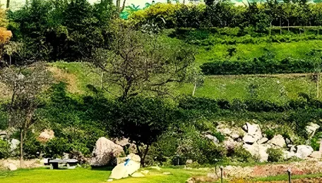 Hyderabad Eco Park opens near Himayatsagar