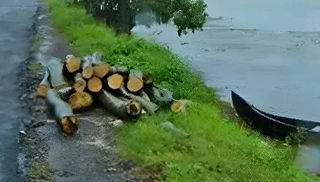 Kerala Experiences 32 Per Cent Rain Deficit Despite Monsoon Arrival 