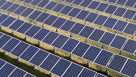 Waaree Energies Secures Major 122MW Solar Module Order, Strengthening India’s Clean Energy Transition
