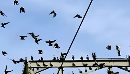 Mumbai Strengthens Drain Cleaning With AI Monitoring System