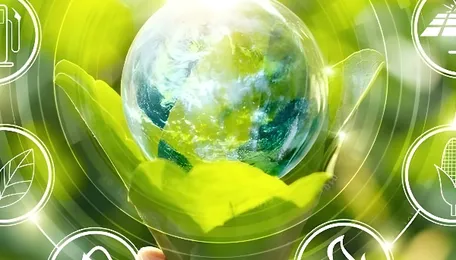 India’s fertilizer sector eyes clean energy transition with new green urea production initiative 