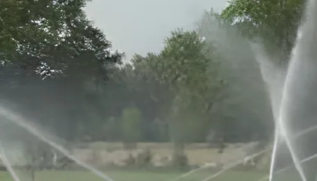 Rajasthan Mandi Development Push Strengthens Farm Economy