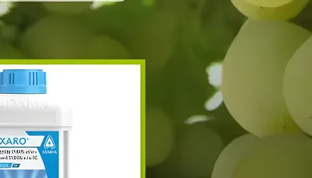 ADAMA Launches Rexaro Fungicide in India for Specialty Crops... Patrick Alexander30-September-2026