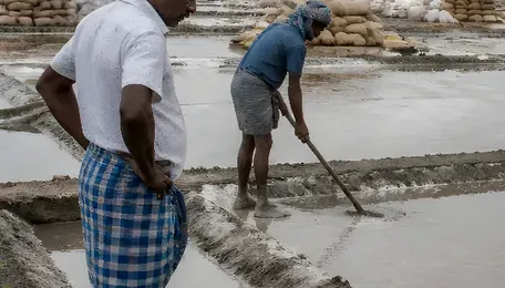Heavy Rain Hits Marakkanam Salt Production, 2,000 Acres Affected